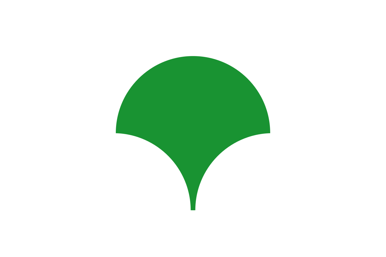 Decoding The Symbolism of Tokyo’s Flag