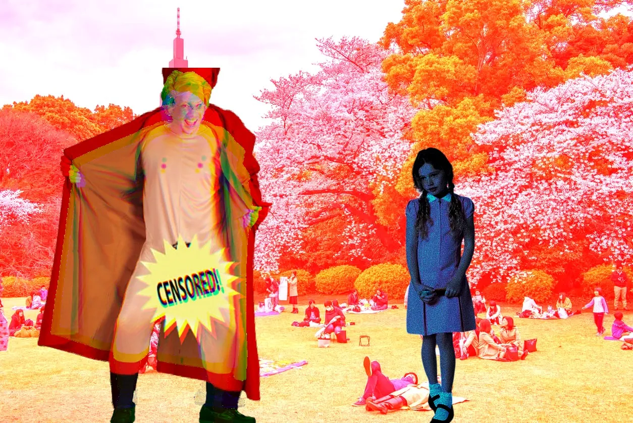 A Birdwatcher's Guide For Common Japanese Birds